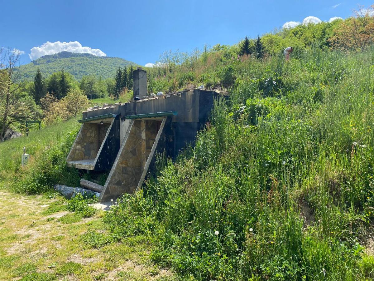 Tara Place - Camp Rabrenovic Mojkovac Exterior photo